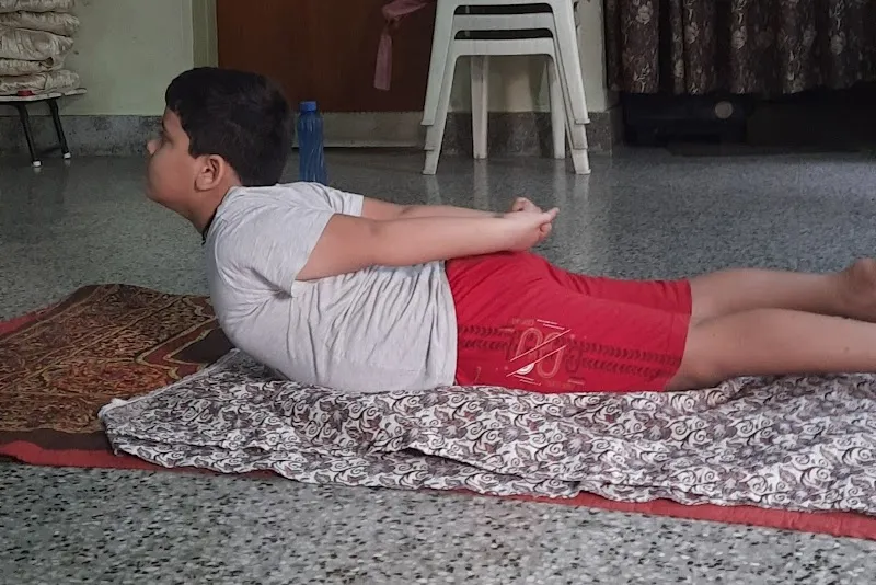 The Art of Strength Indowestern Aerobics & yoga classes