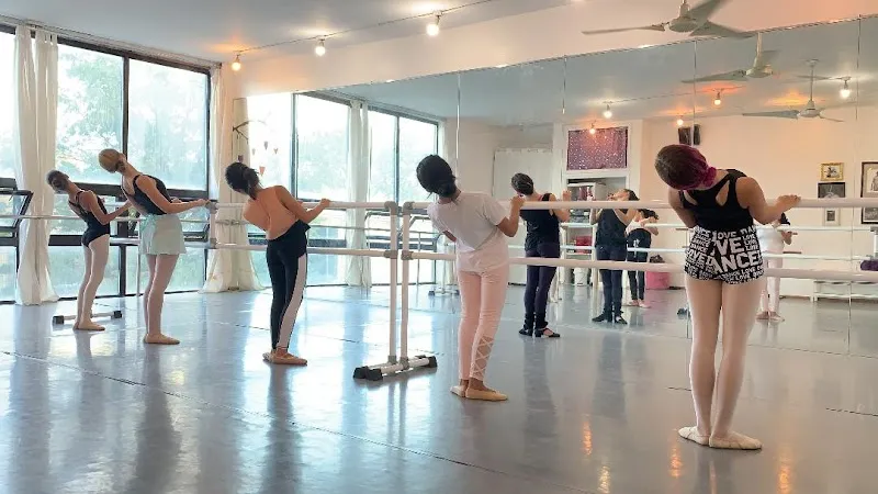 Wild Heart Performing Arts Studio