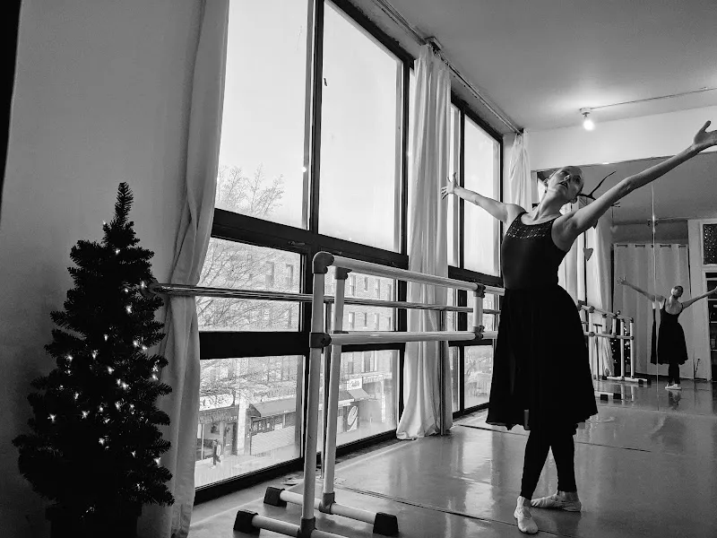 Wild Heart Performing Arts Studio