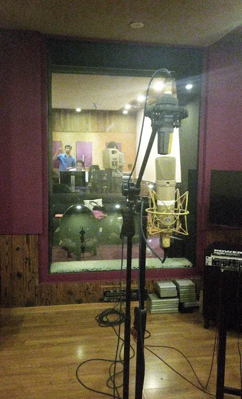 Purple Haze Studios