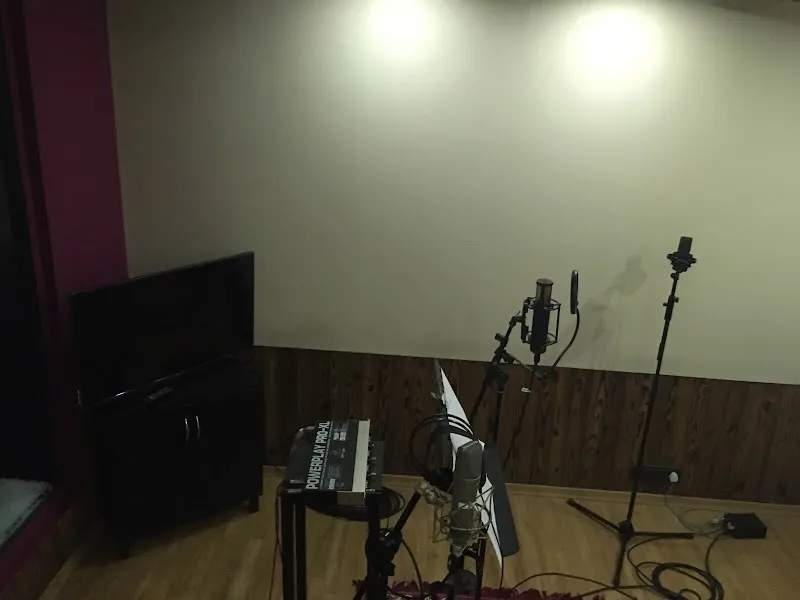 Purple Haze Studios