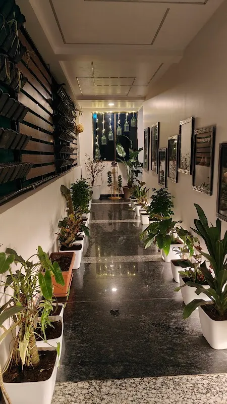 AVNA The House Of Herbs
