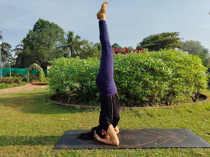 Shiv Sattva Yoga Studio