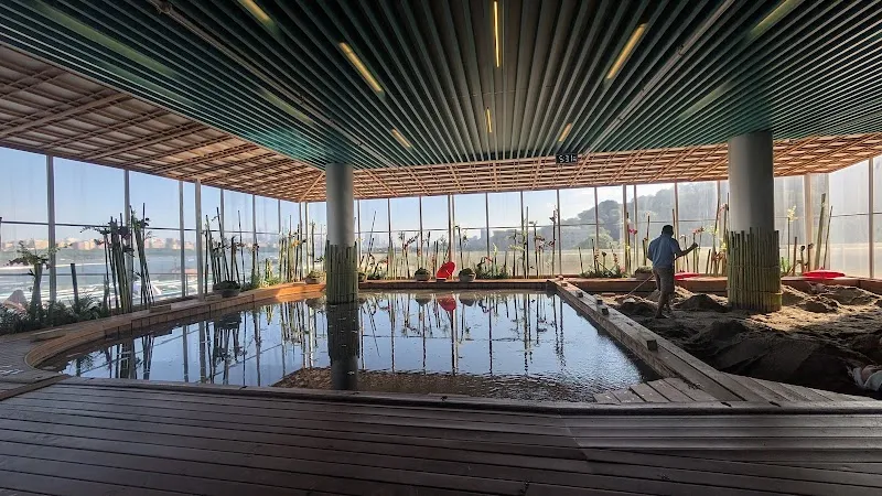 SoJo Spa Club