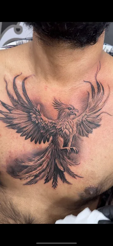 SPINK TATTOOZ