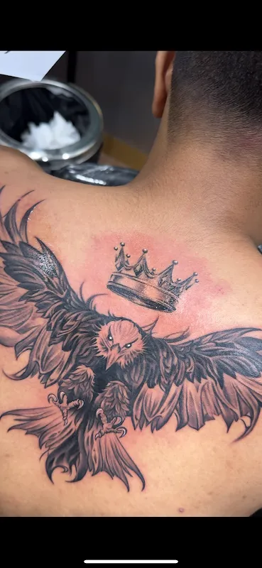 SPINK TATTOOZ