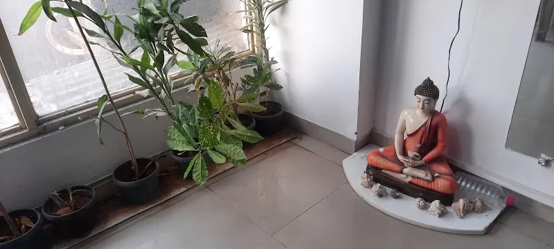 Blue Leaf Yoga Studio