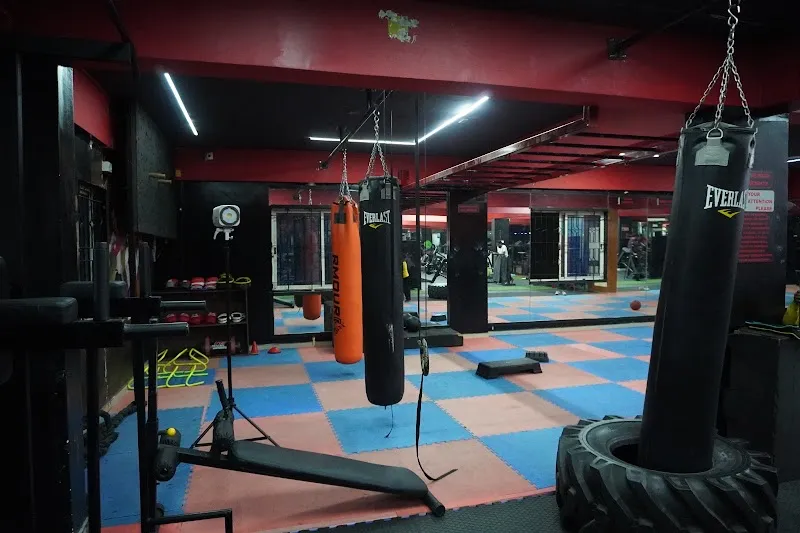 Flux.fit GYM