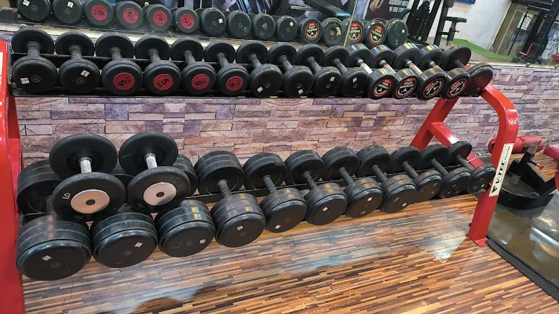 Vision Fitness