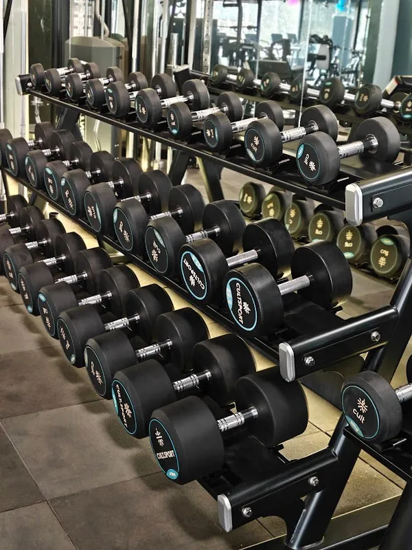 The Fit Mantra Gym & Wellness