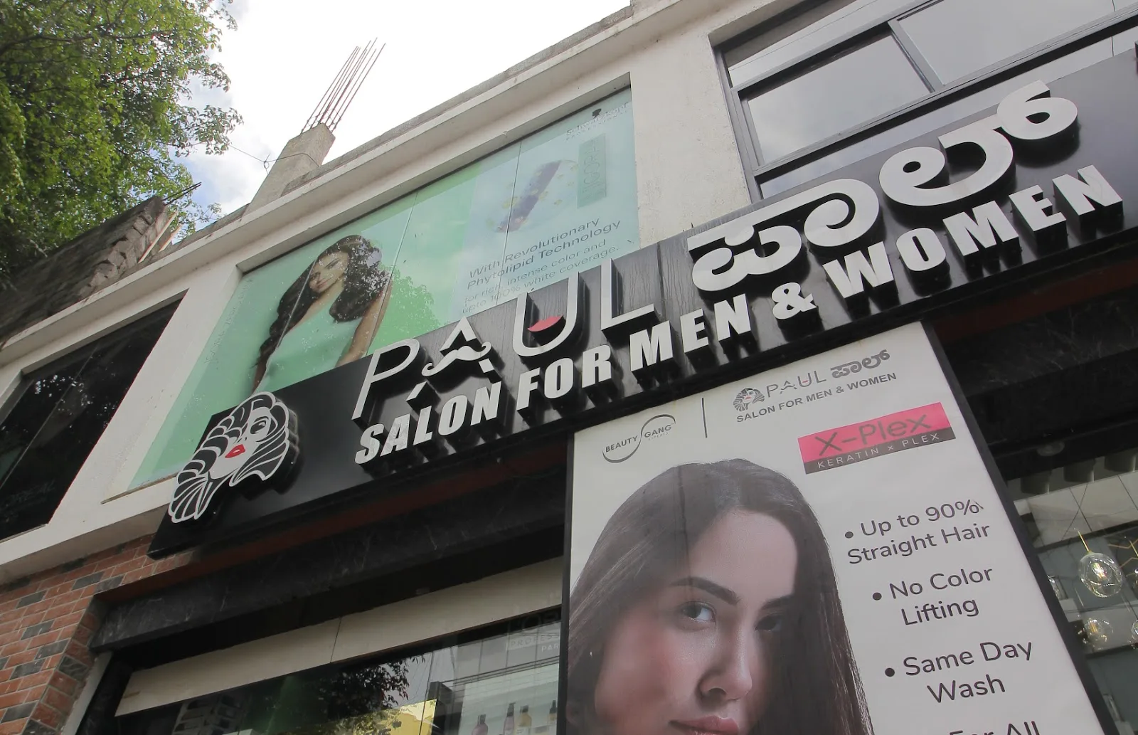 Paul Salon
