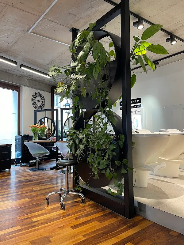 HAIR ROOM Jadwiga Bugaj