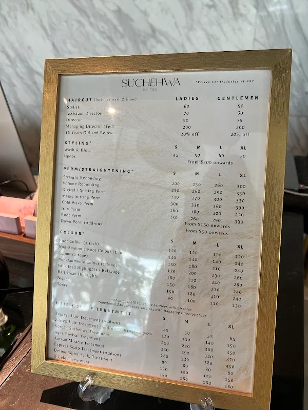 Suchehwa By Ted - Luxury Korean Hair Salon 수채화 헤어 살롱