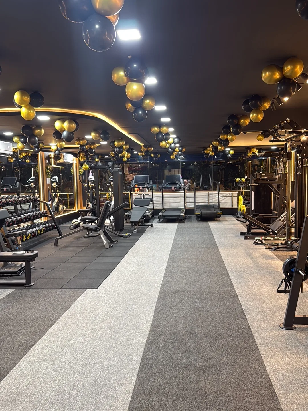 Massiv Fitness Studio
