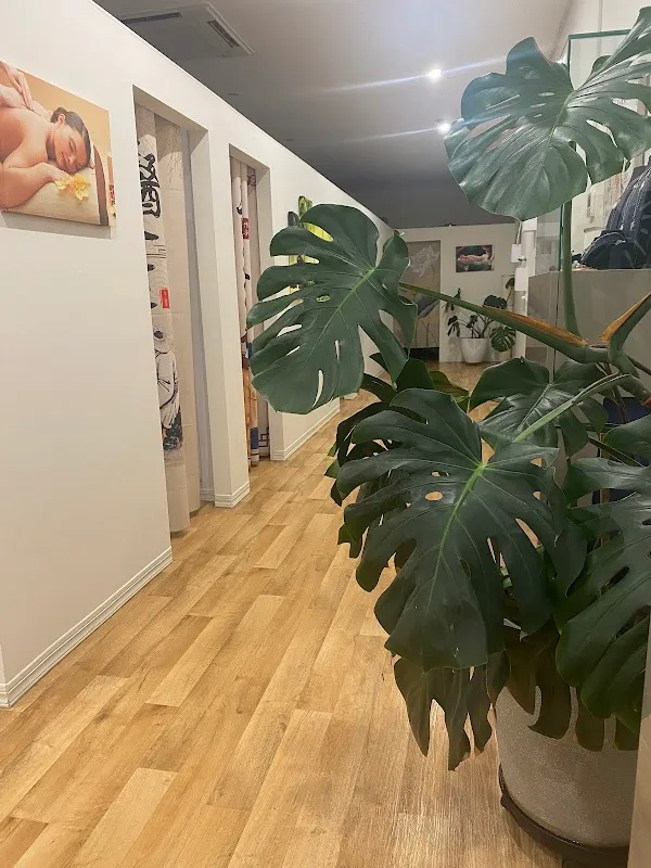 Bunbury -Star Chinese Massage & Therapy