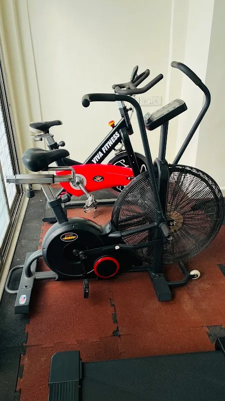 Bluzone Fitness Studio