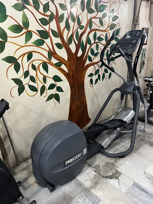 Fitness Tree