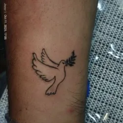 VENOM INK Tattoo Studio