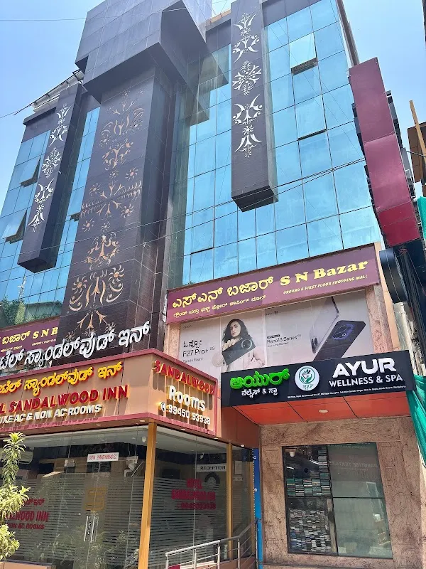 Ayur Wellnes & Spa