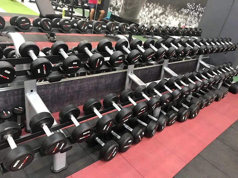 Muscle Flex