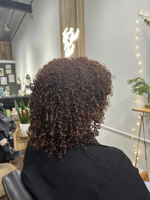 Fusion Salon