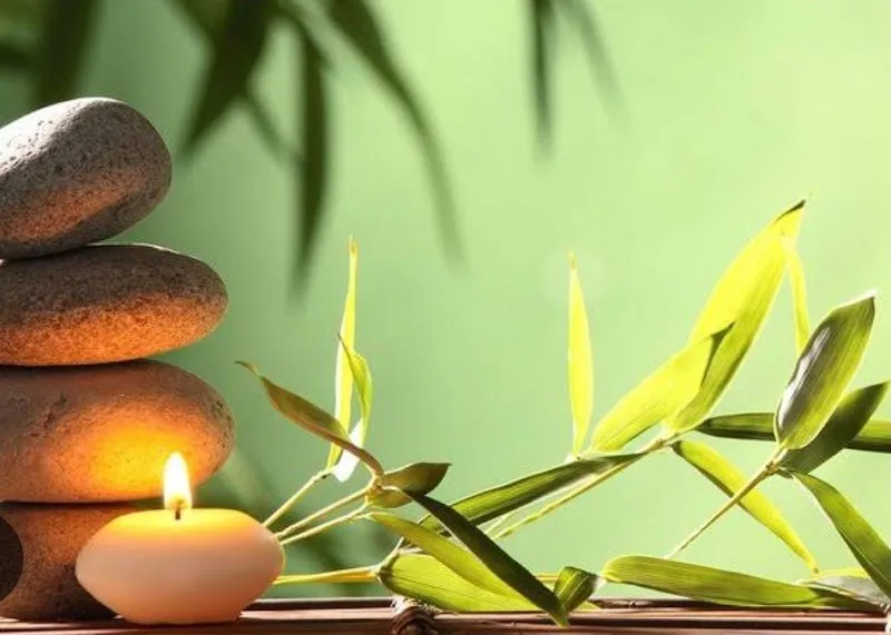 Kohinoor Luxury Spa | Best Spa | Thai Spa | Luxury Spa | Female Spa | Male Spa In Pitampura | Rohini | NSP