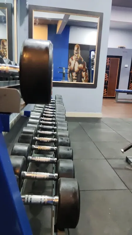 PRO BODYLINE FITNESS