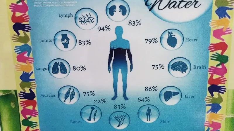 Wellness Kakinada Gowri Best Weight (FAT)LOSS / Weight gain Center(Online & Offline Available) Herbal