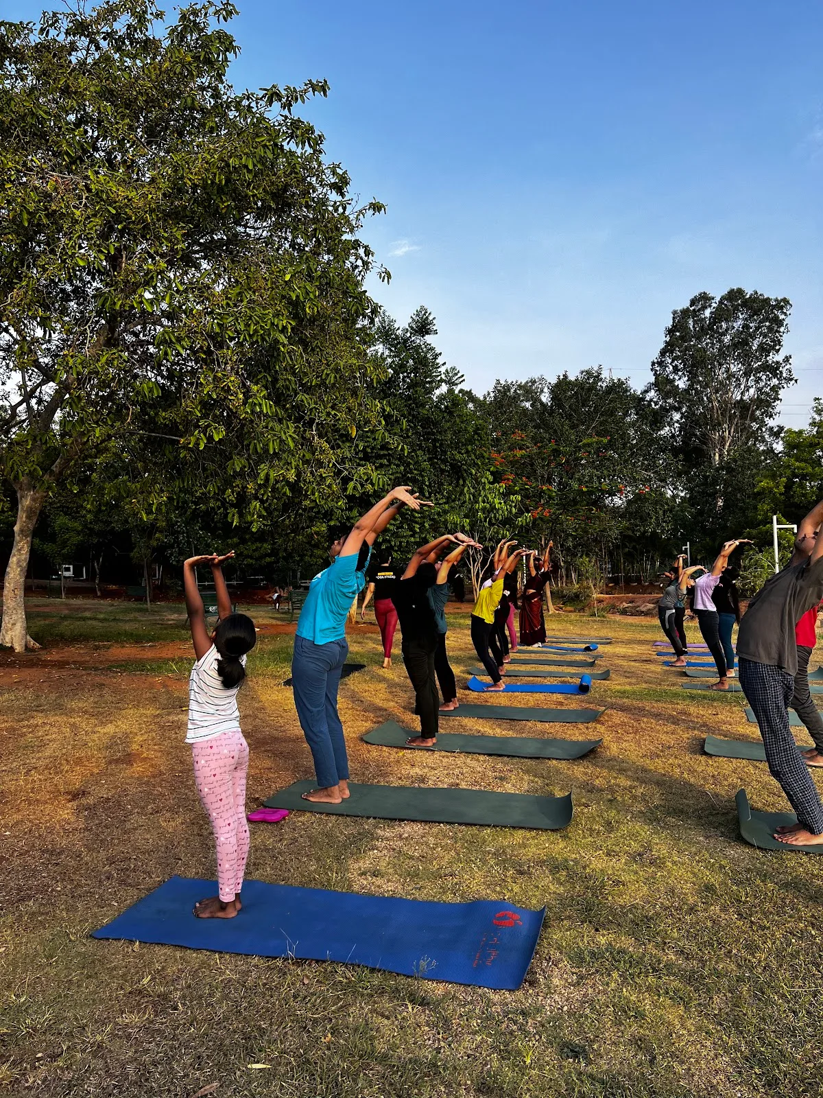 HealOMantra - Yoga & Fitness Studio