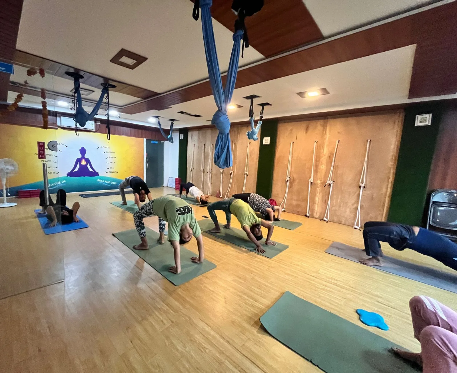 HealOMantra - Yoga & Fitness Studio