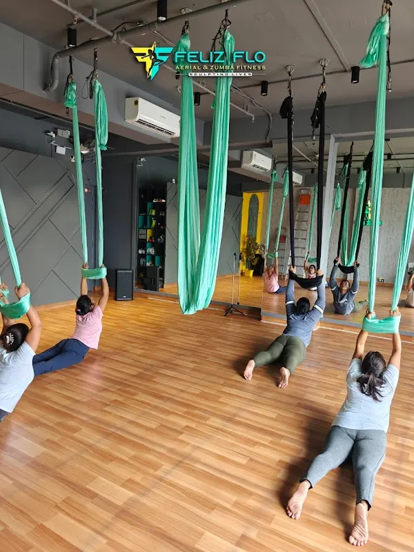 Feliz Flo Fitness (Aerial & Zumba Fitness)
