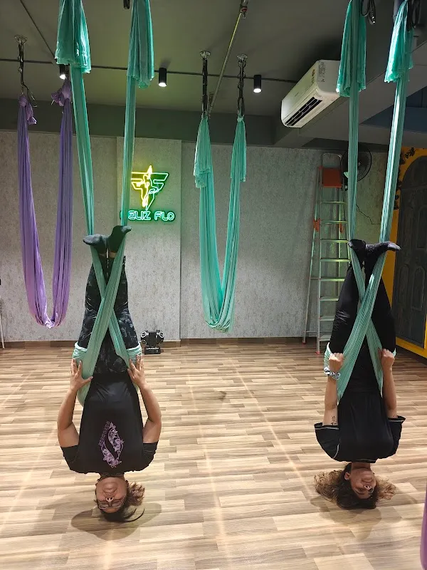 Feliz Flo Fitness (Aerial & Zumba Fitness)