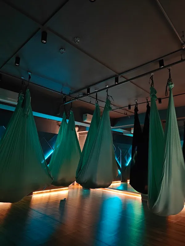 Feliz Flo Fitness (Aerial & Zumba Fitness)