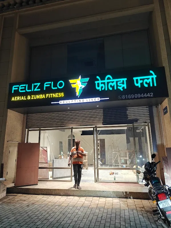 Feliz Flo Fitness (Aerial & Zumba Fitness)