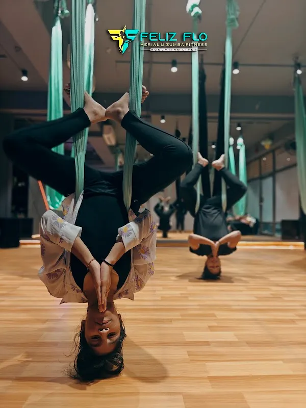 Feliz Flo Fitness (Aerial & Zumba Fitness)