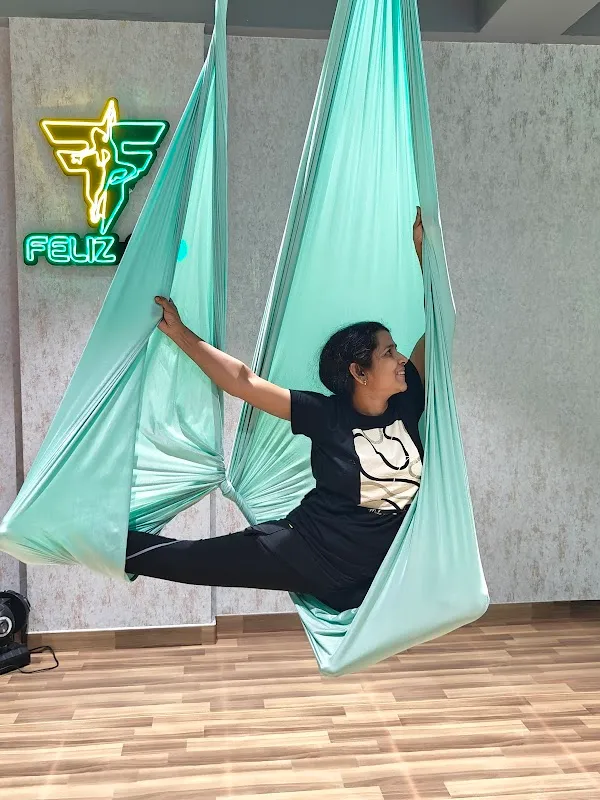Feliz Flo Fitness (Aerial & Zumba Fitness)