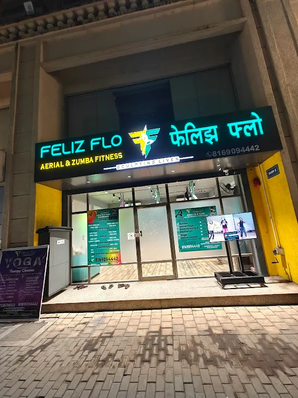 Feliz Flo Fitness (Aerial & Zumba Fitness)
