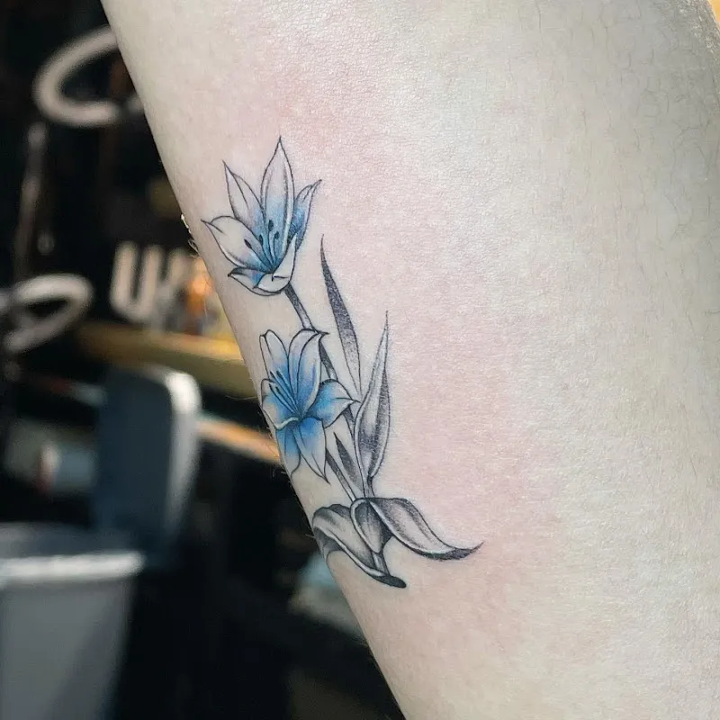 Nc Ink Tattoo Studio