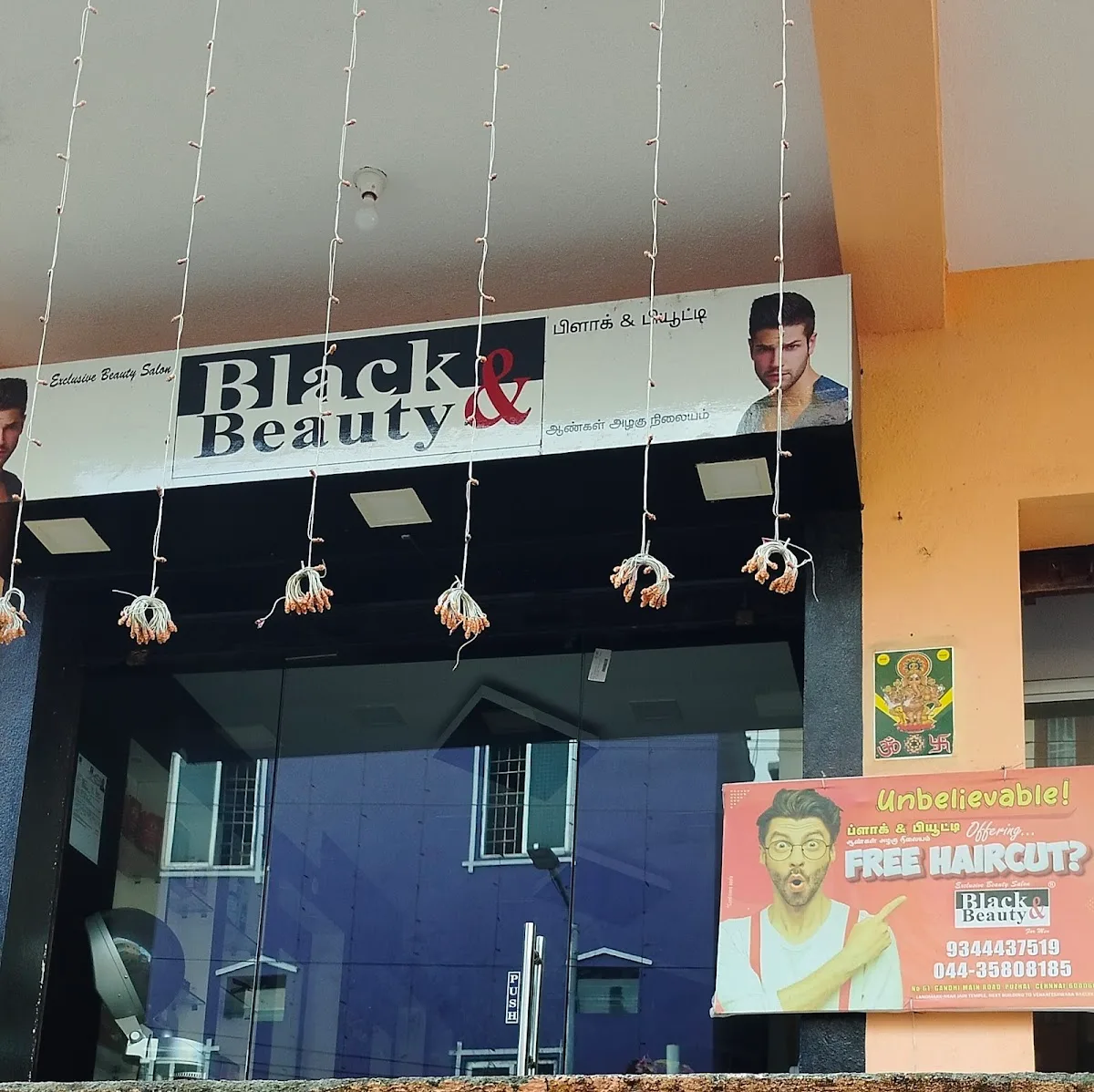 Black & Beauty