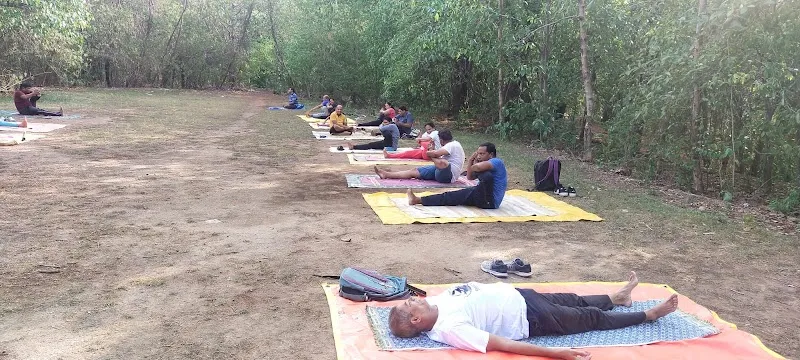Nisarg Yog (N)