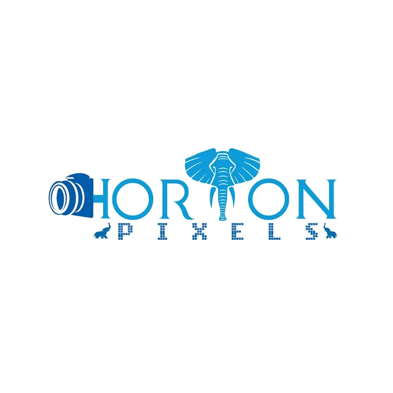 Horton Pixels studio