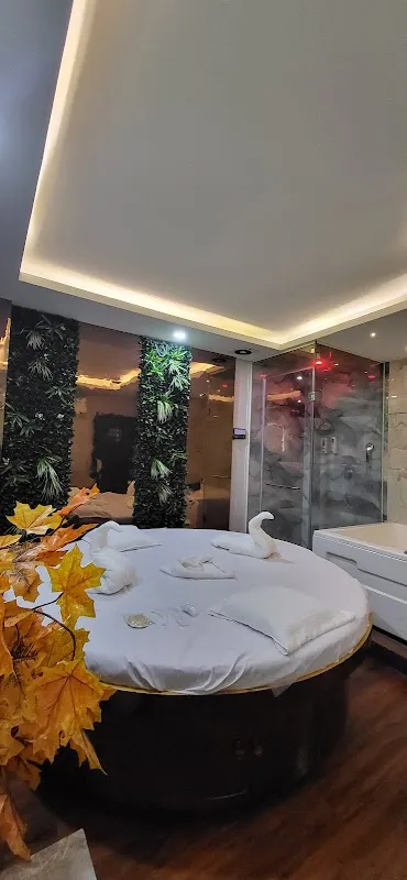 THE SWAS SPA