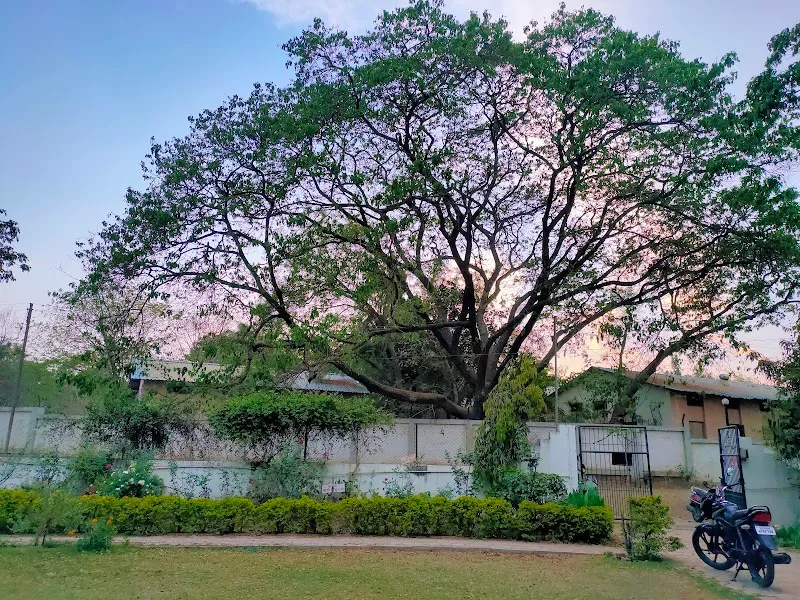 The Art Of Living's Sri Sri Dnyaanmandir, Jalgaon