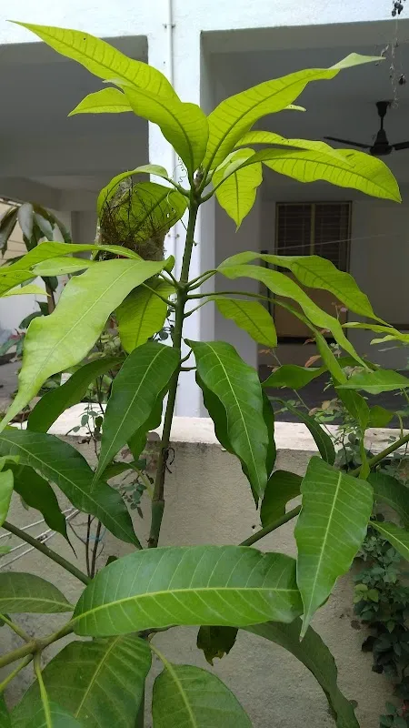 The Art Of Living's Sri Sri Dnyaanmandir, Jalgaon