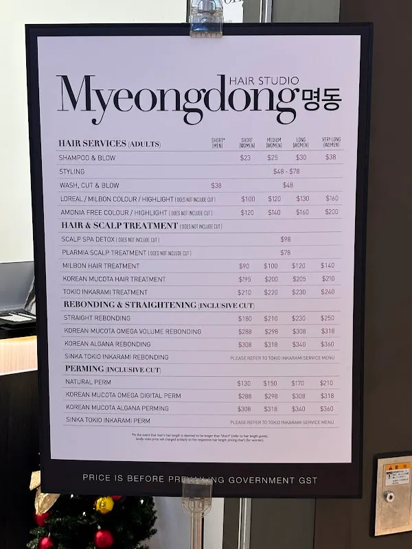 Myeongdong Hair Studio MBLM