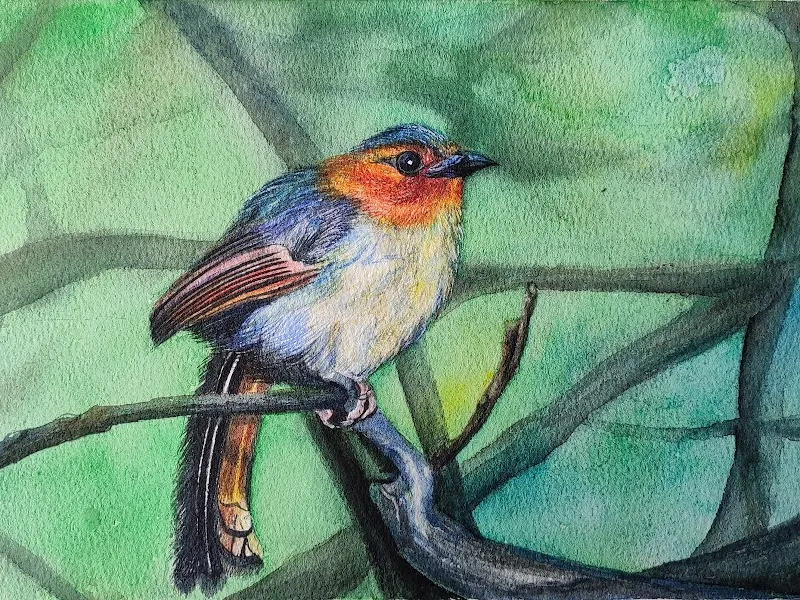Niyomi Art Paintings Studio (Fine Artist)