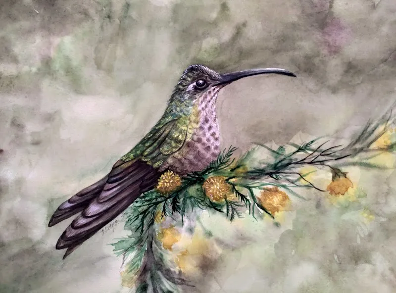 Niyomi Art Paintings Studio (Fine Artist)