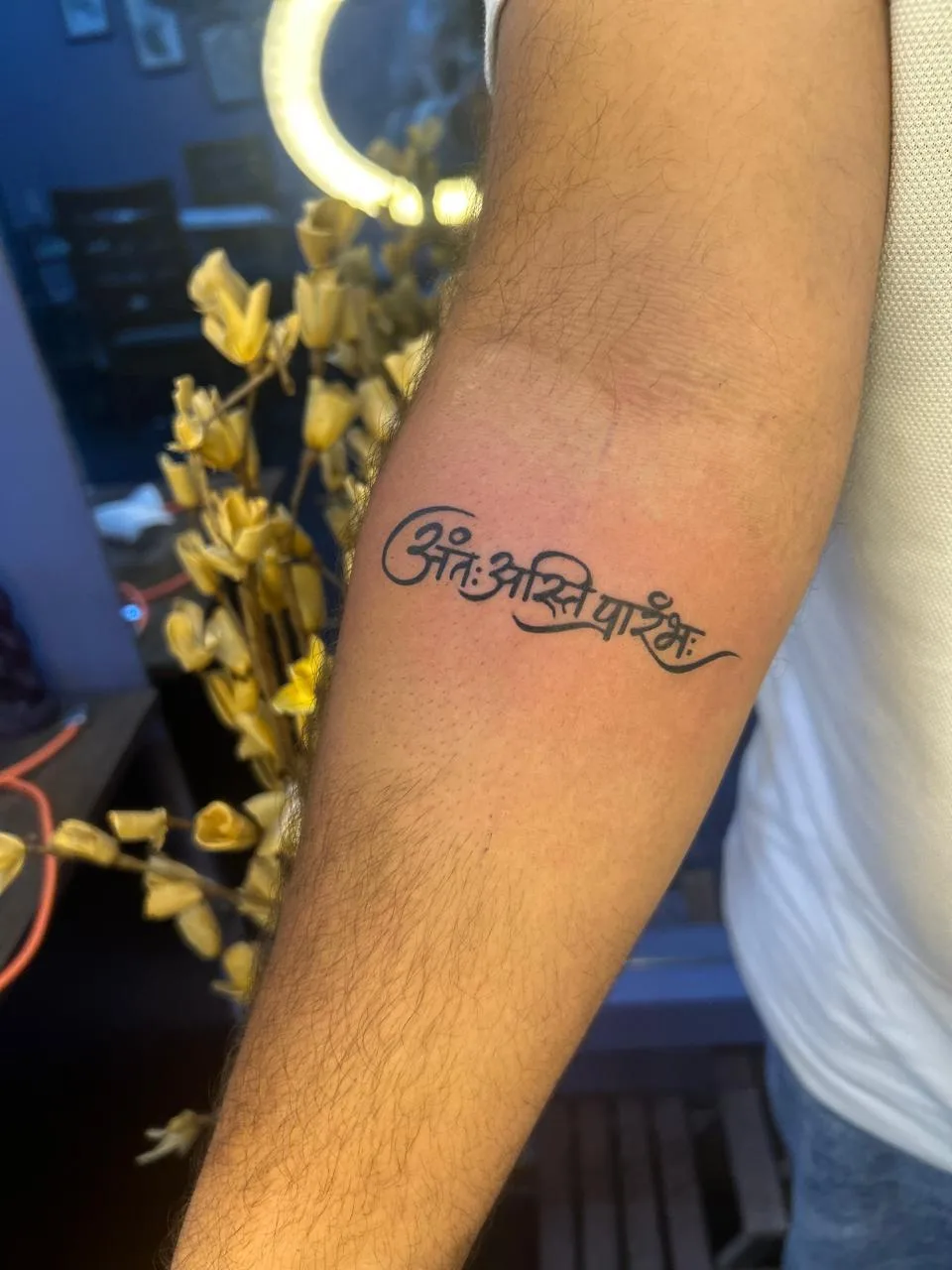 292 TATTOO STUDIO