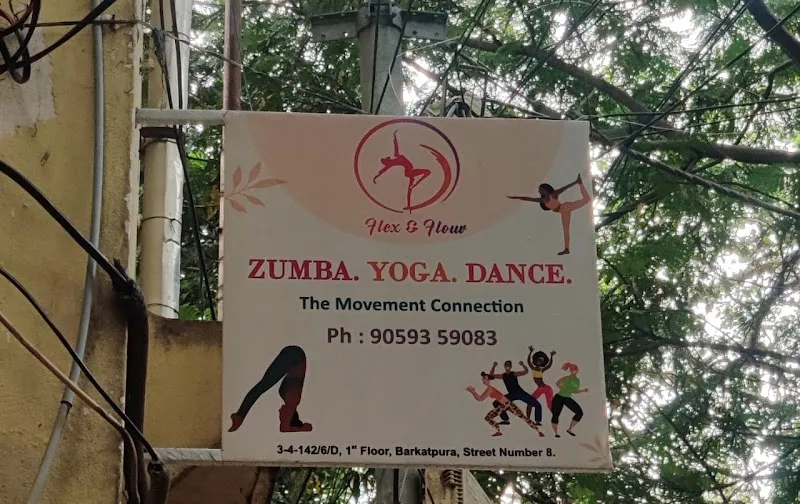 Flex and Flow Dance Studio