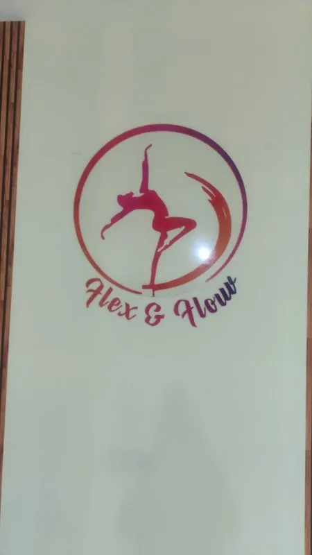 Flex and Flow Dance Studio